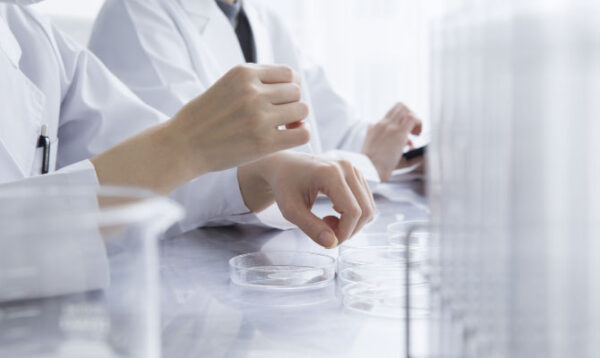 Evaluative Skills