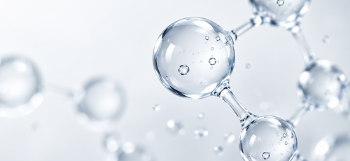 Bio-Convergence